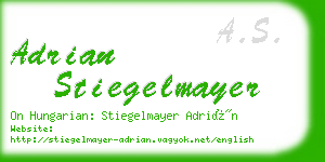 adrian stiegelmayer business card